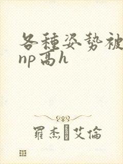 各种姿势被学长np高h封面