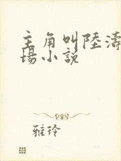 主角叫陆涛的官场小说