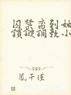 囚禁脔到她哭h锁链调教小说封面