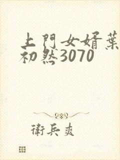 上门女婿叶辰萧初然3070