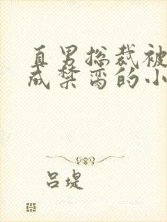 直男总裁被调教成禁脔的小说