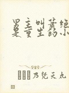 男主叫萧绝女主是重生的小说封面