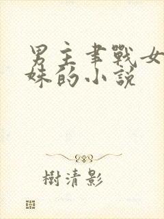 男主聿战女主洛姝的小说封面