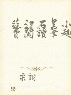 苏汐石昊小说免费阅读笔趣阁封面