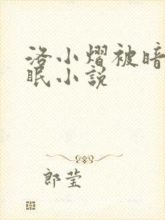 洛小熠被暗无催眠小说