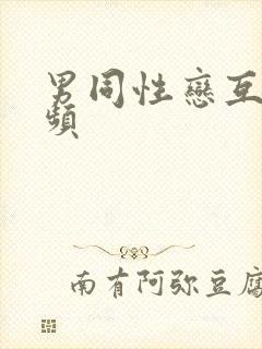 男同性恋互艹视频