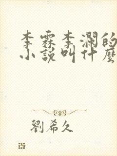 李霖李澜的官场小说叫什么