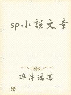 sp小说文章
