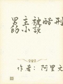 男主被酷刑调教的小说
