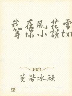 我在风花雪月里等你小说txt下载