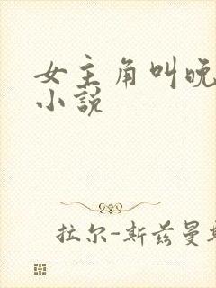 女主角叫晚晴的小说