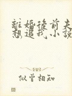 离婚后前夫总是想追我小说免费阅读