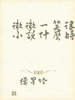 微微一笑很倾城小说什么时候出的