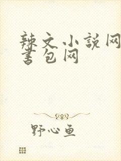 辣文小说网第二书包网