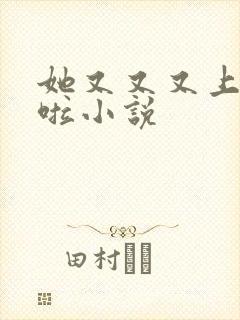 她又又又上热搜啦小说