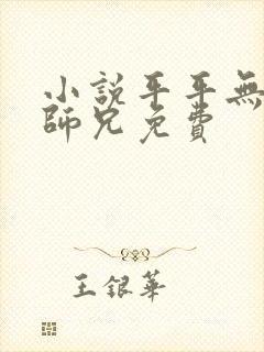 小说平平无奇大师兄免费封面