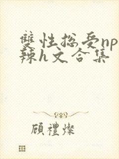 双性总受np高辣h文合集封面