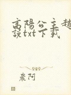 高阳公主赵玫小说txt下载封面