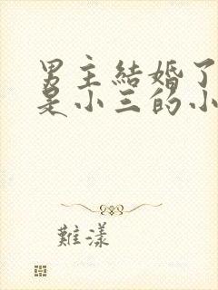 男主结婚了女主是小三的小说