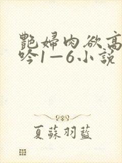 艳妇肉欲高潮呻吟1—6小说