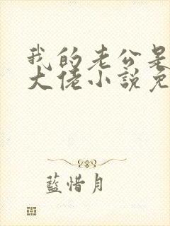 我的老公是千亿大佬小说免费阅读