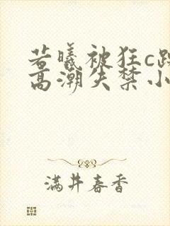 若曦被狂c躁到高潮失禁小说