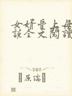 女婿爱上母娘小说全文阅读