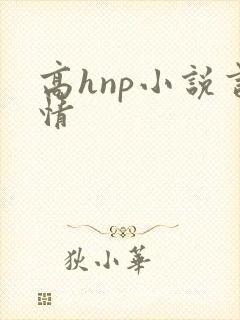 高hnp小说言情