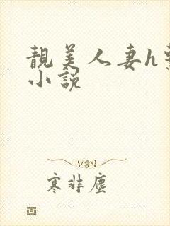 靓美人妻h系列小说