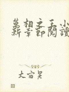 万相之王小说最新章节阅读全文