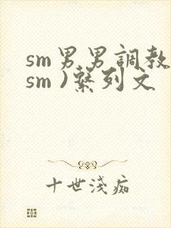 sm男男调教(sm )系列文