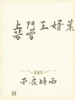 上门王婿叶凡唐若雪封面