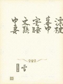 中文字幕漂亮人妻熟睡中被公侵犯的