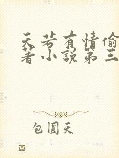 天若有情偷心原著小说第三部