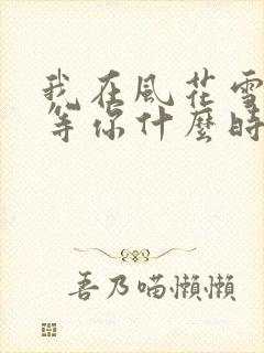 我在风花雪月里等你什么时候写的封面