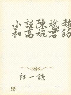 小说陈斌赵心媚和高婉君的小说免费阅读