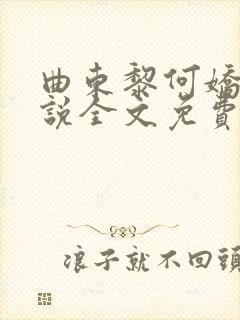 曲东黎何娇娇小说全文免费阅读封面