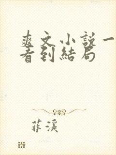 爽文小说一口气看到结局
