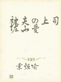 被夫の上司に犯佐山爱封面