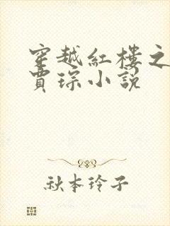 穿越红楼之庶子贾琮小说