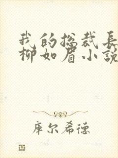 我的总裁长母亲柳如眉小说封面