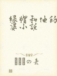 绿帽和他的骚老婆小说
