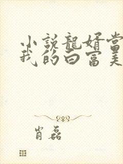 小说龙婿当道:我的白富美老婆