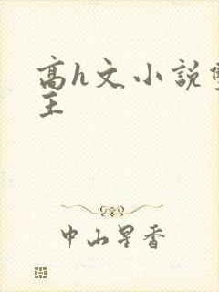 高h文小说双男主