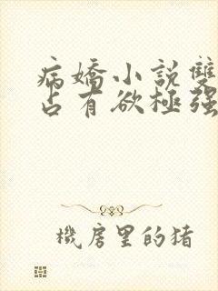 病娇小说双男主占有欲极强囚宠干净封面