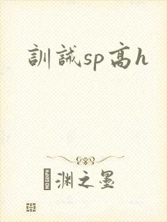 训诫sp高h封面
