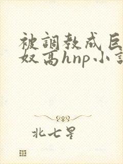 被调教成巨乳奶奴高hnp小说