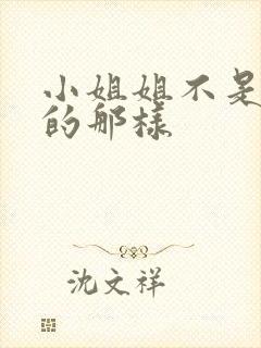 小姐姐不是你想的那样封面