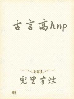 古言高hnp