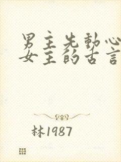 男主先动心苦追女主的古言